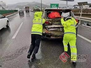 奇葩鞋子吃瓜,揭秘奇葩鞋子背后的吃瓜故事