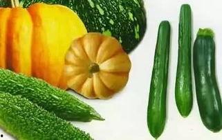 吃瓜也有气,揭秘日常生活中的奇妙现象