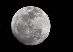 月亮组吃瓜,揭秘娱乐圈幕后风云