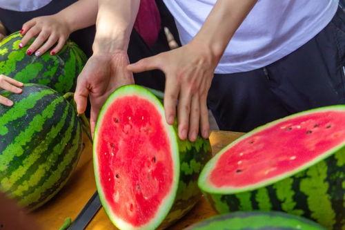 镇江学校吃瓜,一网打尽校园美食风云