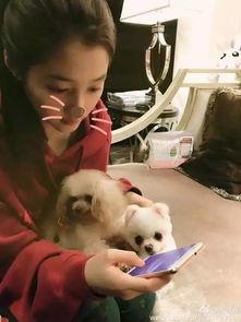 女的默默吃瓜,女性视角下的网络围观现象