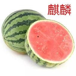 吃瓜用什么方法,轻松掌握高效吃瓜技巧