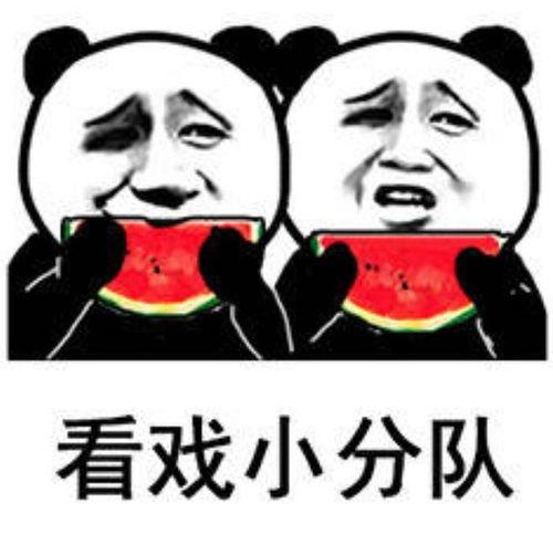 表情包配文吃瓜,表情包配文背后的趣味解读