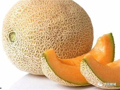 热感冒 吃哈密瓜,清凉一夏健康相伴