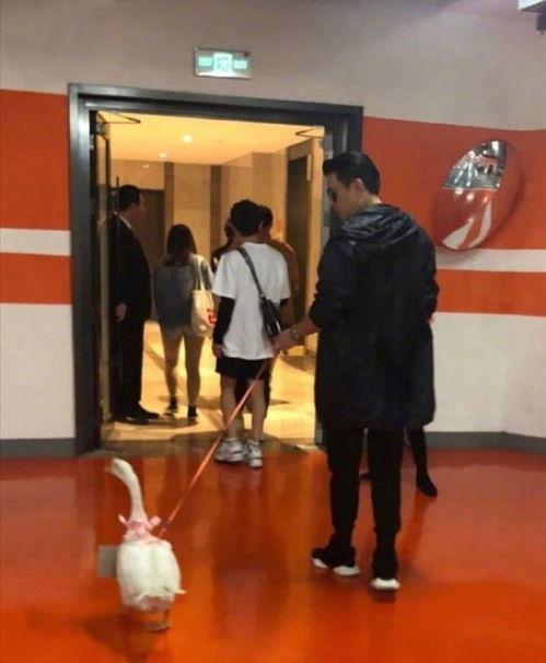 保剑锋在线吃瓜,揭秘娱乐圈幕后风云